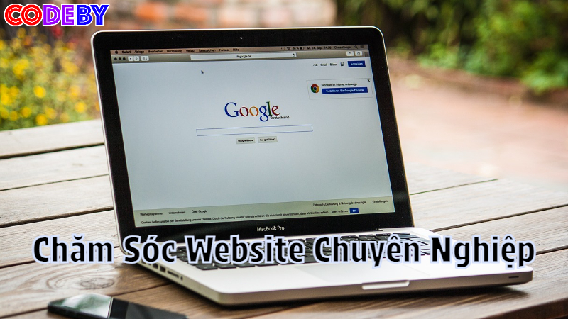 Dịch Vụ Chăm Sóc Website Chuyên Nghiệp Tại CodeBy